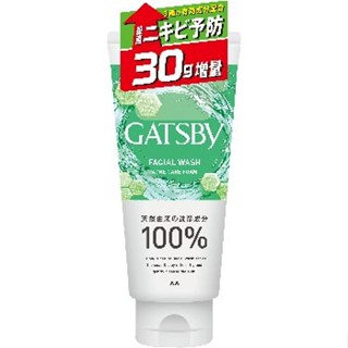 現貨 附發票 GATSBY 清爽抗痘洗面乳(限定增量版) 160g《四季花蕊》