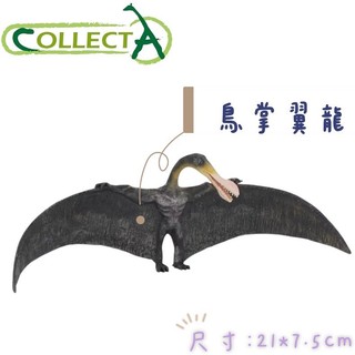 CollectA 英國高擬真模型 鳥掌翼龍 長約21公分 模擬 侏儸紀 恐龍模型 動物模型 公仔