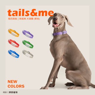 【現貨 免運】tails&me 尾巴與我｜犬項圈 新經典 / 經典尼龍系列｜單色｜狗狗項圈 寵物項圈 尼龍項圈｜RBB