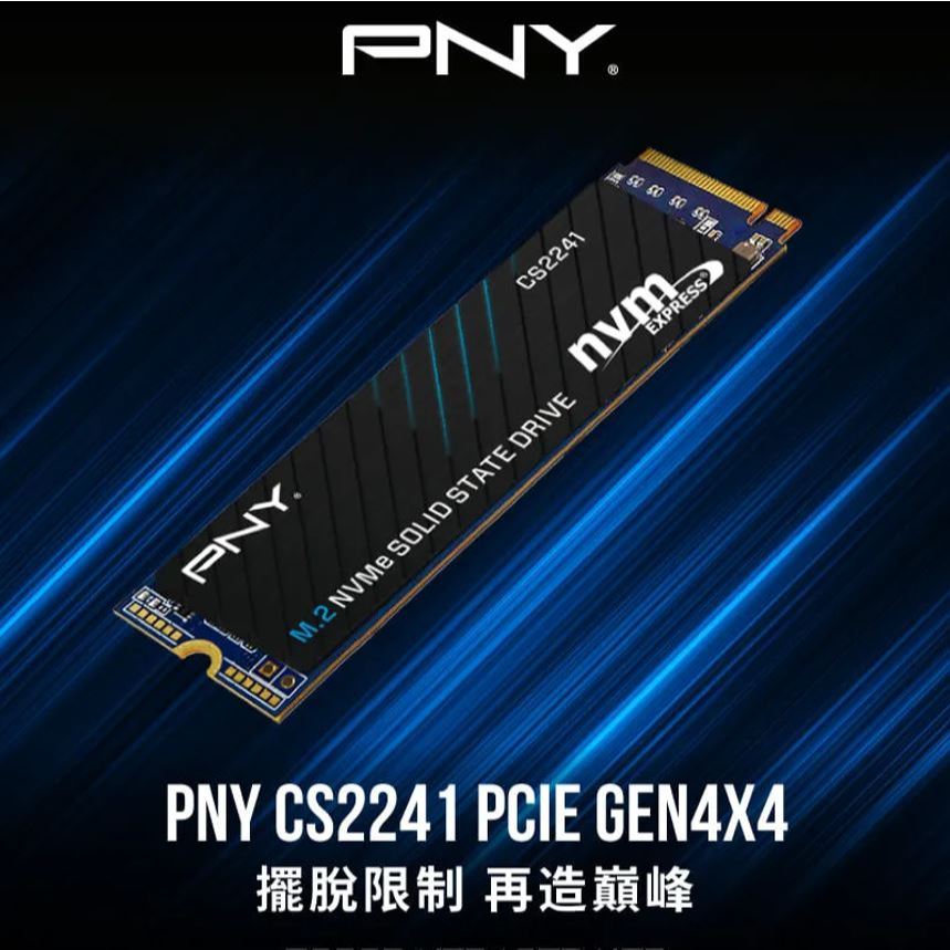 全新 PNY CS2241 500G M.2 2280 PCIe 4.0 SSD 固態硬碟