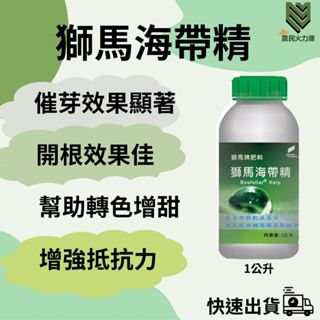 【農民火力庫】【24H快速出貨】獅馬海帶精1公升 海藻精 細胞分裂素有機友善 海帶萃取 鹿角蕨蔓綠絨觀葉植物