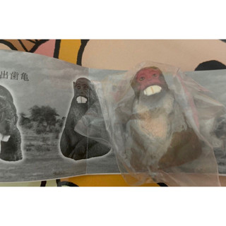 日本扭蛋 猴子 暴牙動物 出齒猿 T-ARTS