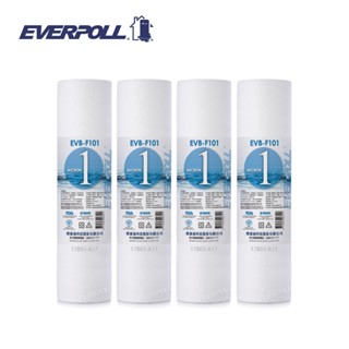 EVERPOLL EVB-F101 1微米PP濾芯(4支入) 10英吋標準通規型濾心 大大淨水