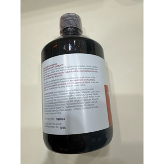 現貨當天寄 捷克 菠 丹 妮 啤酒花洗髮精500ml