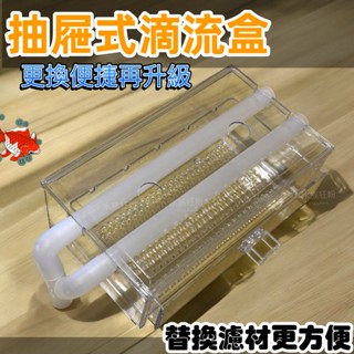 【水族狂粉】【最便宜】臺灣製 新型 抽屜式 滴流盒 (便當盒) 上部過濾、滴流槽 29.5*17*9.5cm 抽屜