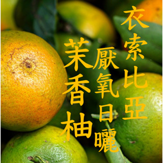 (2024最後數量) 獵豆工坊🐆 衣索比亞 谷吉 茉香柚 厭氧日曬 G1 咖啡生豆 500G