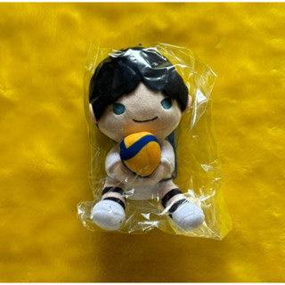 ★現貨 排球少年 js jump shop 排球 娃娃 影山 及川 日向