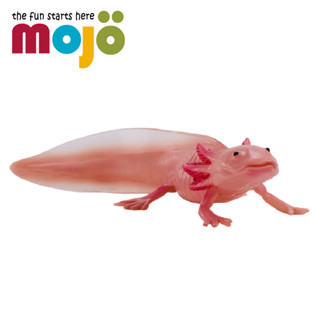 Mojo Fun動物模型-墨西哥鈍口螈/公仔/動物/模型/玩具
