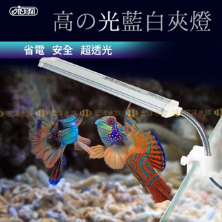 宏洋【ISTA✨高之光系列夾燈】藍白燈(17cm/25cm) 水草缸/水族夾燈/藍白燈/魚缸/魚缸夾燈/LED夾燈