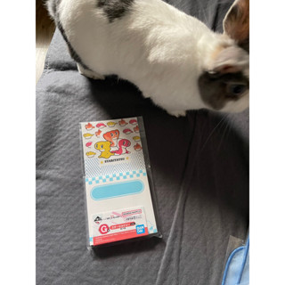 寶可夢 地平線 裂空座 G賞 皮卡丘 扭蛋 盲盒生日禮物隱藏版 夾娃娃 春酒抽 尾牙抽 巨無霸 一番賞 便宜 二手 全新