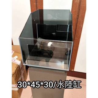 30*45*30 臺北 雨林缸 生態缸 水陸缸 箭毒蛙缸 苔癬缸 訂製缸 兩棲缸
