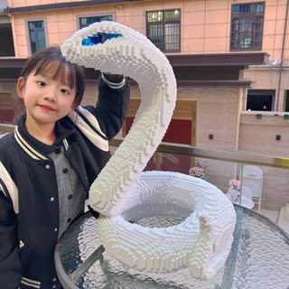 <零度>新款巨大白蛇3d立體拼圖積木 拼裝積木 益智積木 禮物擺件 微小顆粒 益智兒童拼裝玩具 高難度 擺件 禮物 積木