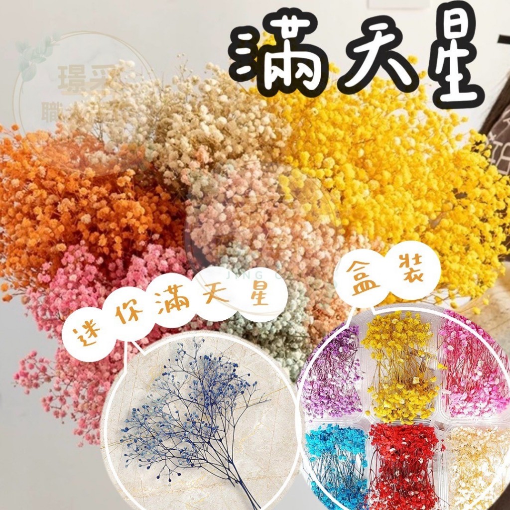 【璟采職人】滿天星 霞草 夢幻草 花材 乾燥滿天星 乾燥花材 乾燥花 不凋花 永生花 仿真花 乾燥花花材 捧花 拍照道具