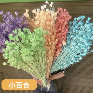 【莫森家居mosson】 FM02 臺灣現貨 50克/把 木百合乾燥花 玻璃罩永生花 玻璃罩乾燥花 香氛蠟燭罩