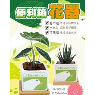 桃園限定郵局便利箱造型花器 郵侷限量便利箱 花盆 多肉 植物