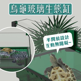 宏洋水族【🐢 烏龜玻璃生態缸】高質感玻璃✨賞析無死角 烏龜缸／烏龜盒（飼養盒 飼養箱 巴西龜 爬蟲缸 烏龜 爬蟲 飼養缸
