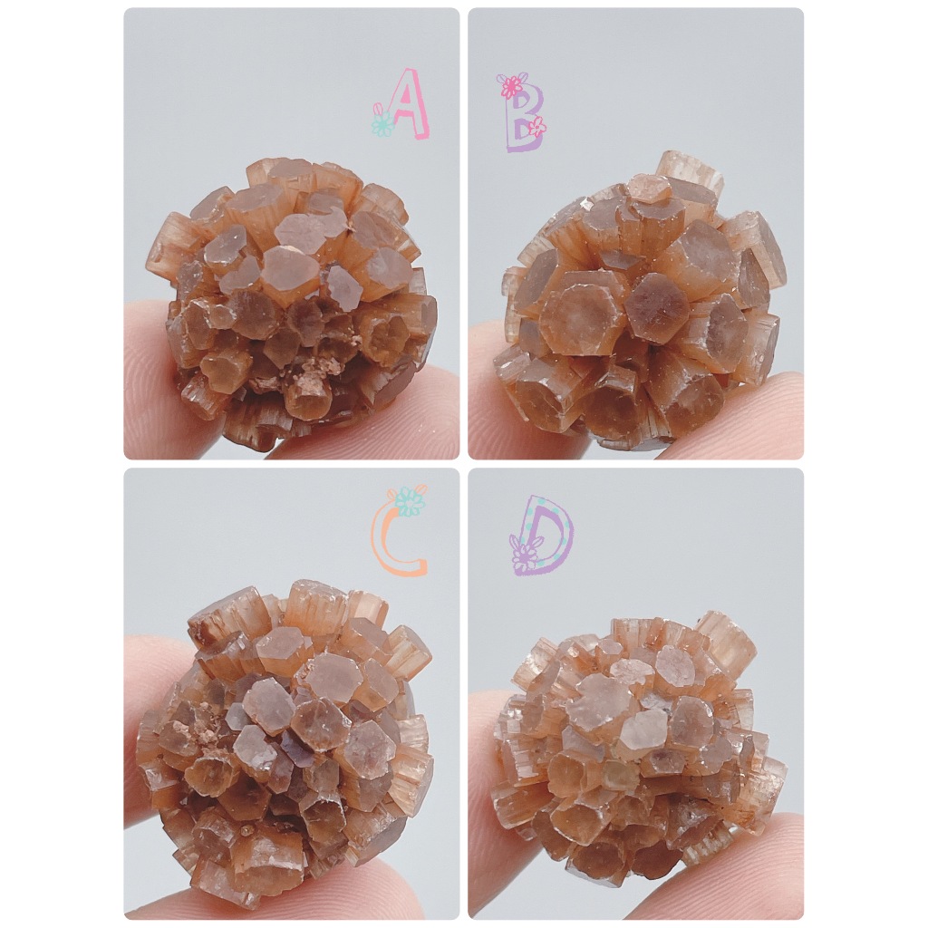 美礦遇夏🌟霰石 霰石單晶體 單晶體 紅色礦石 橘色礦石 共生 原礦 礦標 精品 脈輪