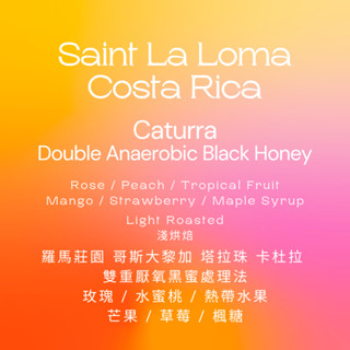 【IF Coffee Roasters】哥斯大黎加 塔拉珠 羅馬莊園 雙重厭氧黑蜜 淺焙 咖啡豆 濾掛包 精品咖啡 濾掛