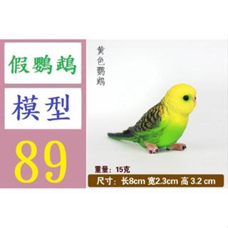【三峽好吉市】模擬野生動物模型鳥類小鸚鵡塑膠實心兒童玩具科教微景觀擺 小鸚鵡模型裝飾