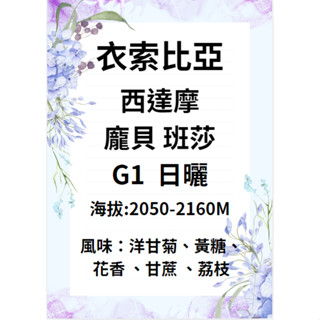【環群咖啡生豆】M04 衣索比亞 龐貝 班莎 西達瑪 G1 日曬 咖啡生豆 咖啡 生豆 咖啡濾紙 濾掛式咖啡 咖啡壺