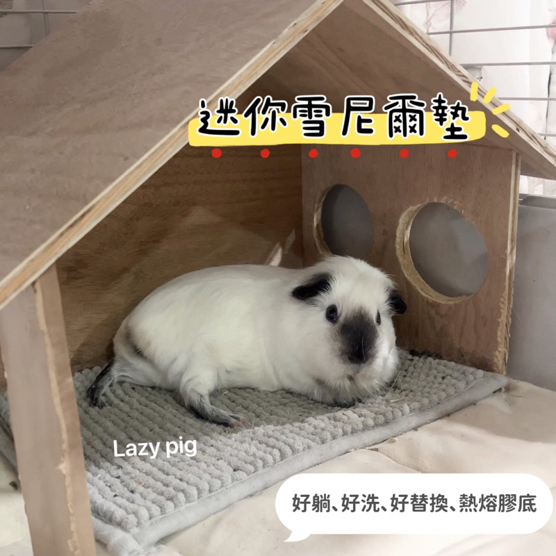 天竺鼠抵家｜天竺鼠雪尼爾地墊 天竺鼠墊子 小雪尼爾 迷你雪尼爾地墊 天竺鼠用品