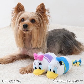貝果貝果 日本 pet paradise 代理 DISNEY 唐老鴨 與 黛西 咬咬啾啾玩具 [T3905]
