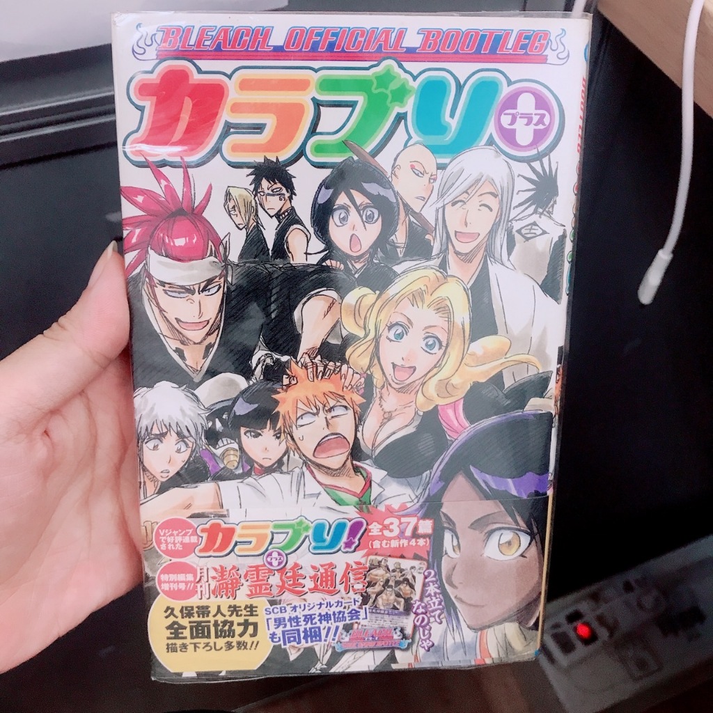 【日文版】死神BLEACH 角色設定書 BLEACH OFFICIAL BOOTLEG 死神秘笈PLUS 全 カラブリ+