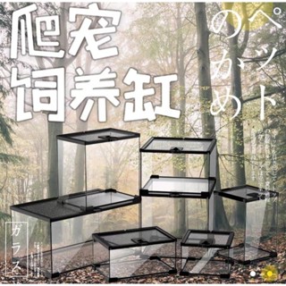 [透明玻璃]玻璃飼養箱爬蟲缸雨林爬寵陸龜守宮蜥蜴角蛙蜘蛛甲蟲寵物蛇