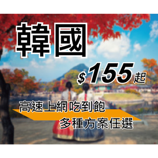 韓國網絡卡 喫到飽 高速 韓國 網絡卡 韓國上網絡卡 首爾 釜山 濟州島 韓服 美妝 購物 上網 即插即用 SKT sim卡