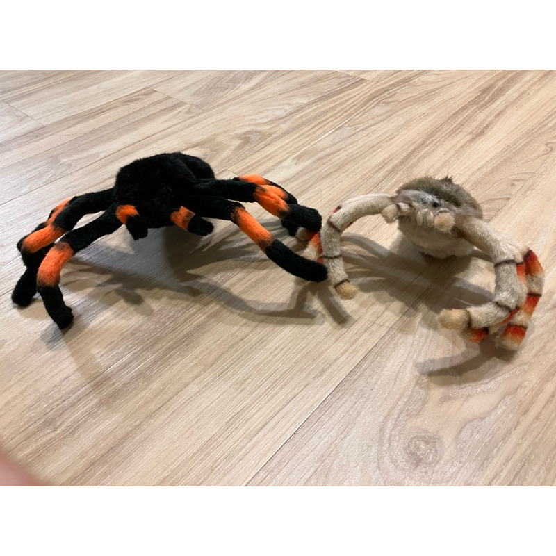 Hansa蜘蛛兩隻，二手免運