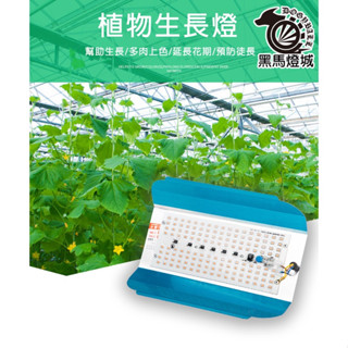 全光譜植物生長燈(接好線)【黑馬燈城】臺灣現貨含發票【A402】110V電壓 LED燈 室內植栽小太陽補光光合作用多肉燈