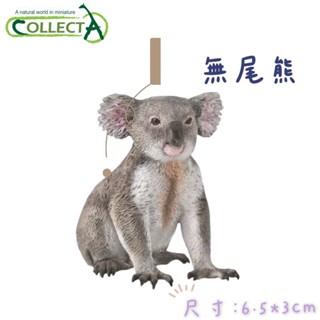 【MRW】CollectA 英國高擬真模型 無尾熊 樹熊 樹袋熊 考拉 模擬 野生動物 動物模型 公仔 高約6CM