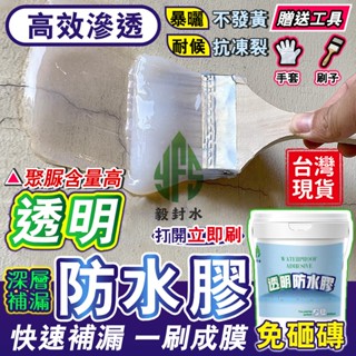 室內防水漆💝臺灣品牌💝透明防水漆 透明防水膠 奈米防水膠浴室防水膠免砸磚補漏滲透劑防漏水 膠水專用膠 瓷磚防水漆