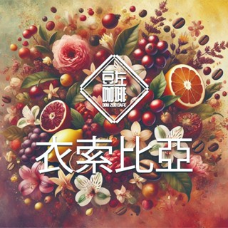 【豆左咖啡】批發優惠 自家烘焙 咖啡豆 濾掛咖啡 精選 衣索比亞 水洗