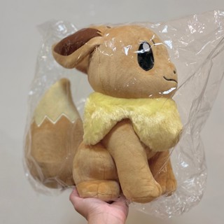 激激小舖｜Pokemon 寶可夢 樂玩多 伊布 35cm 快龍 皮卡丘 瓦斯彈 耿鬼 寶貝球 精靈寶可夢 娃娃 抱枕