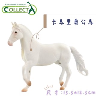 CollectA 馬模型 卡馬裡奧公馬 埃克斯穆爾公馬 修補匠種馬 洛磯山母馬 健壯馱公馬 穆斯堂母馬 田納西走公馬