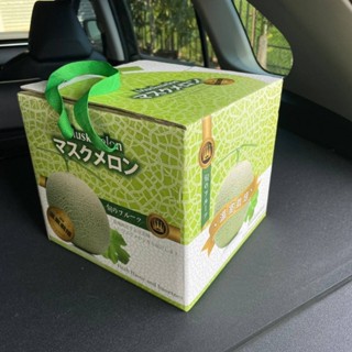 {現貨}禮盒-哈密瓜包裝禮盒 哈密瓜 阿露斯 哈密瓜包裝盒 哈密瓜盒 哈密瓜禮盒