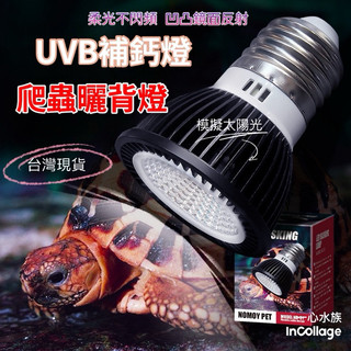 [[一心🇹🇼水族]]【UVB補鈣燈】全光譜陸龜補鈣燈 仿陽光 擬太陽燈 補鈣燈 爬蟲曬背燈泡 紫外線 紫外線燈 uva+