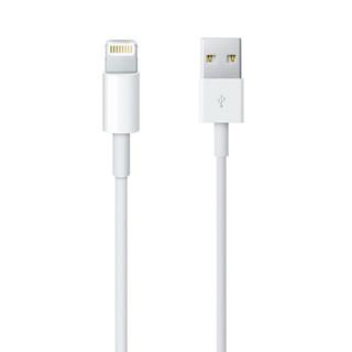 Apple 原廠USB-C to Lightning 傳輸充電線 USB-C 充電連接線