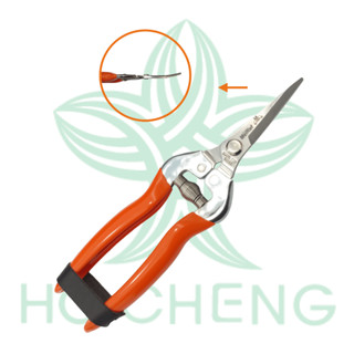 【wellcut 紅蟳牌】原價400 特價150 不鏽鋼蔬果剪(翹頭) 臺灣製造 園藝剪刀 盆栽小枝小芽切 花藝剪刀