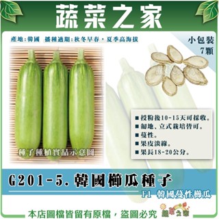 【蔬菜之家滿額免運】G201-5.韓國櫛瓜種子7顆 F1 韓國蔓性櫛瓜 夏南瓜 櫛瓜 果菜 種子