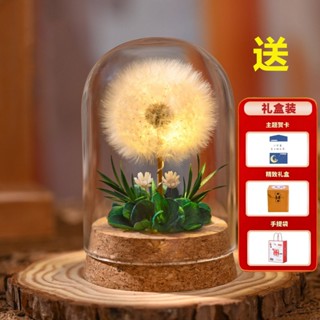 24H臺灣現貨🚀【臺灣特快】🚀夜燈永生乾花蒲公英標本玻璃罩送母親老師女同學桌面擺件生日禮物