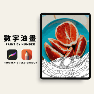 🔵24色葡萄柚數字油畫｜數字油畫電子版｜零基礎可完成｜Procreate｜Sketchbook｜PNG格式