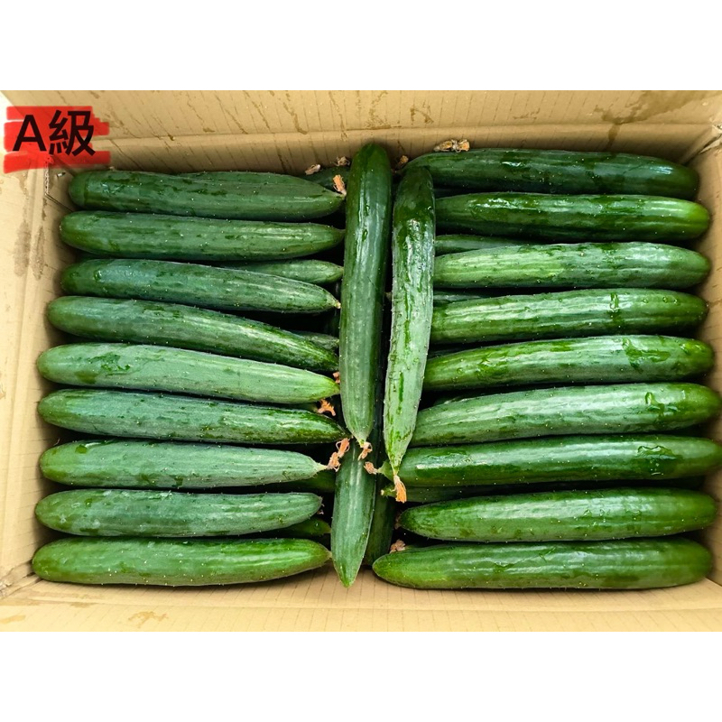 免運🥒溫室無毒小黃瓜🥒自家栽種 新鮮現採溫室無毒小黃瓜