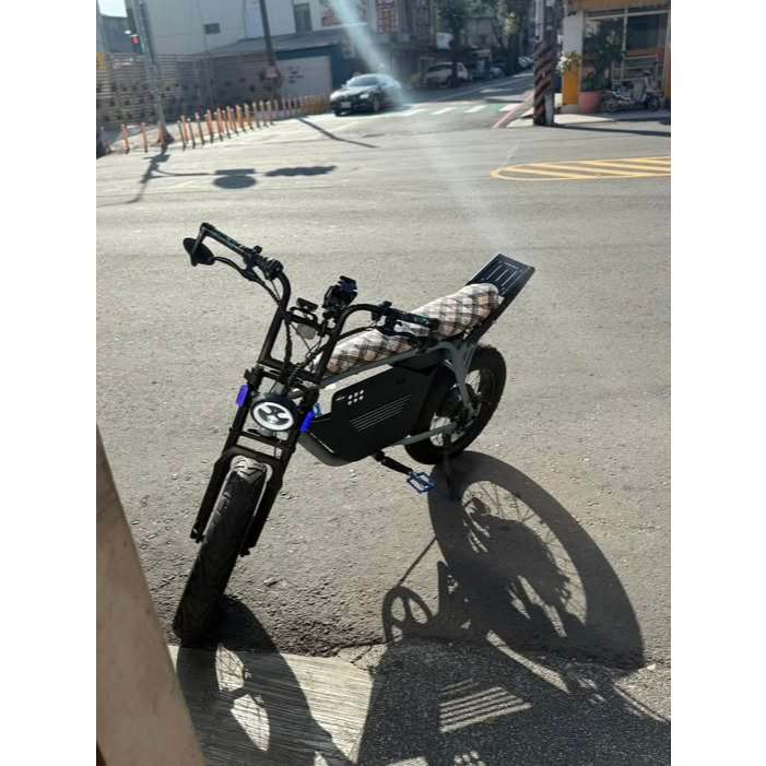 ZAU EB_500 電動輔助車 台灣製造 閃電標章 合法上路 電輔車 胖胎車 mit 可選配備 中置籃 方向燈 代客安