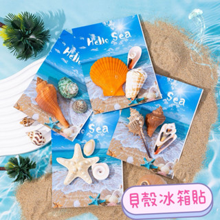 ✨現貨+出清價✨貝殼冰箱貼 立體造型磁鐵創意磁鐵留言冰箱磁吸