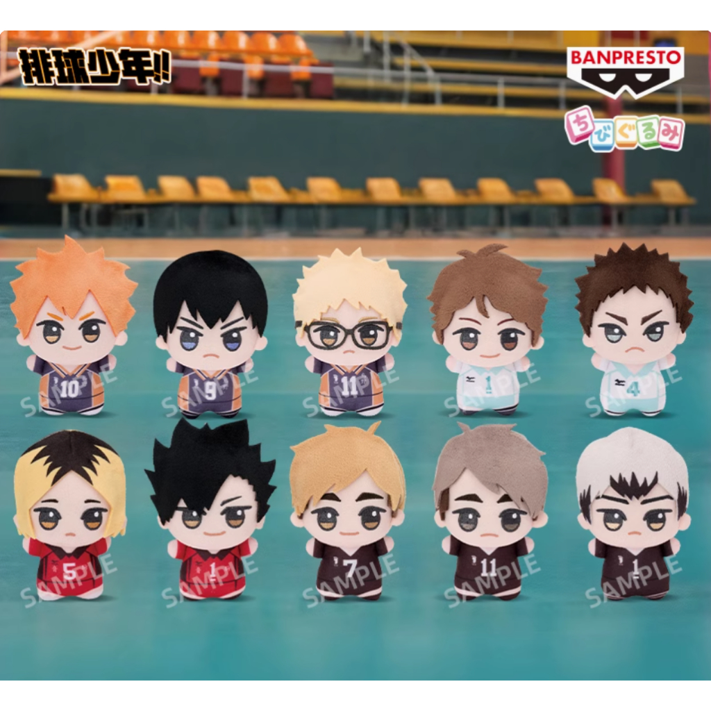 代理現貨 排球少年 眼鏡場努努 娃娃 北信介 及川 孤爪 影山 日向 宮侑 黑尾 月島 宮治 vol.1&2