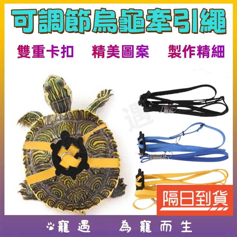 台灣出貨🥇烏龜牽繩 烏龜繩 陸龜牽繩 烏龜外出 陸龜外出 遛龜繩 遛龜 溜龜繩 遛烏龜 烏龜牽引繩 蘇卡達牽繩 烏龜背帶