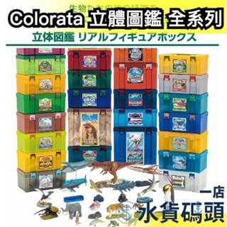 日本 Colorata 立體圖鑑 擬真模型 教學模型 獨角仙 熱帶魚 深海魚 爬蟲類 鍬形蟲 深海生物 甲蟲 恐龍 盒玩