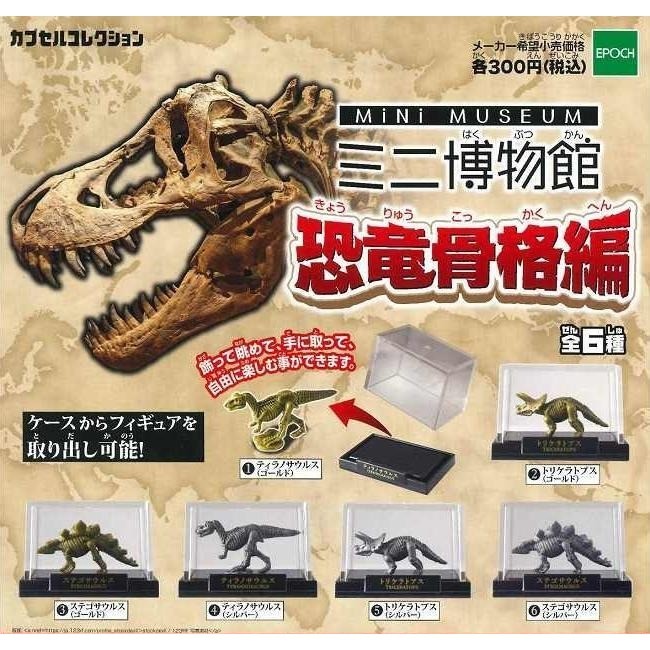 全新正版現貨 EPOCH 扭蛋 迷你博物館 恐龍骨骼篇 全6種 恐龍化石 暴龍 三角龍 劍龍 展示